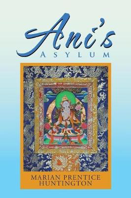Ani's Asylum (Paperback)