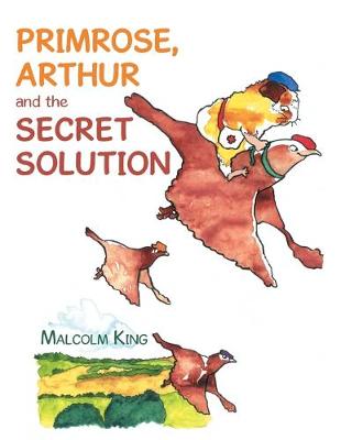 Primrose, Arthur and the Secret Solution (Paperback)