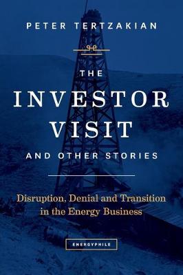 The Investor Visit and Other Stories: Disruption, Denial and Transition in the Energy Business (Paperback)