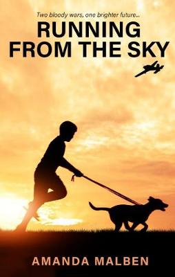 Running from the Sky (Paperback)