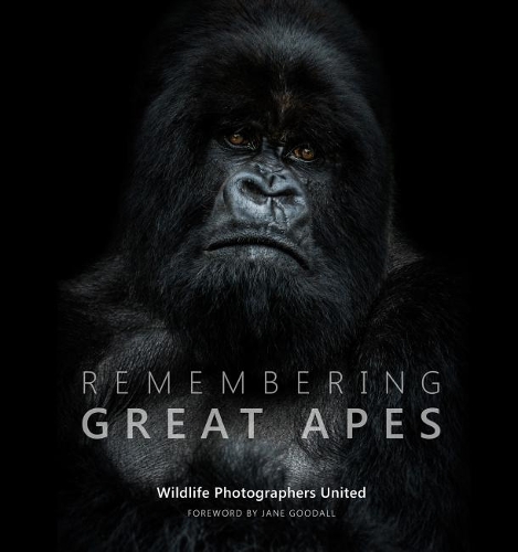 Remembering Great Apes - Remembering Wildlife 3 (Hardback)