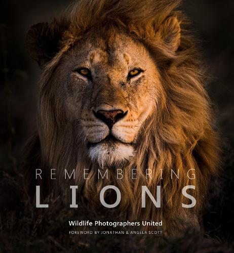 Remembering Lions - Remembering Wildlife 4 (Hardback)