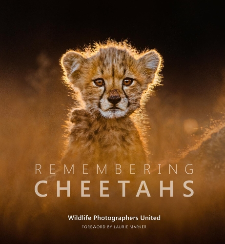 Remembering Cheetahs - Remembering Wildlife 5 (Hardback)