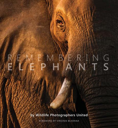 Remembering Elephants - Remembering Wildlife 1 (Hardback)