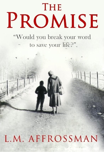 The Promise: When Promises Can Cost Lives (Paperback)