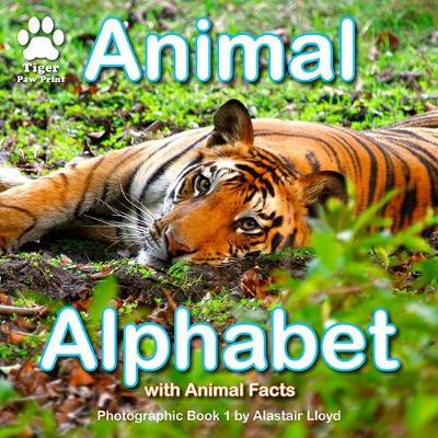 Animal Alphabet: Photographic Book 1 by Alastair Lloyd - Animal Alphabet 1 (Paperback)