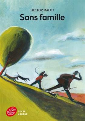 Sans famille (Paperback)