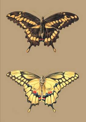 Carnet Blanc, Papillons Cresphontes - Bnf Animaux (Paperback)