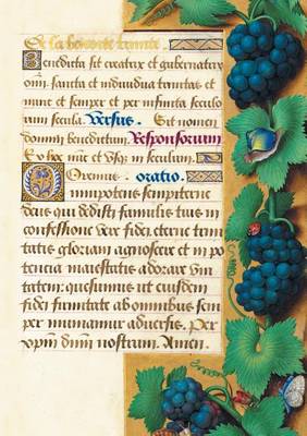 Carnet Blanc, Heures Anne de Bretagne, Raisin - Bnf Enluminures (Paperback)