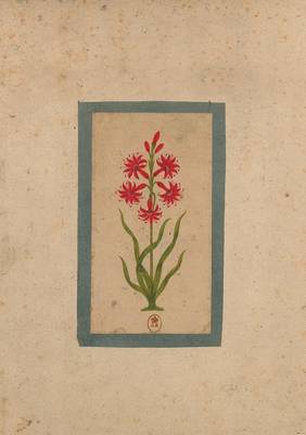 Carnet Blanc, Fleur 1, Miniature Indienne 18e Si�cle - Bnf Botanique (Paperback)