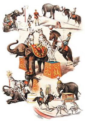 Carnet Blanc Animaux Dress�s, Cirque - Bnf Animaux (Paperback)