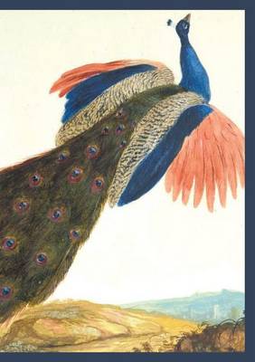 Carnet Lign�, Paon - Bnf Animaux (Paperback)