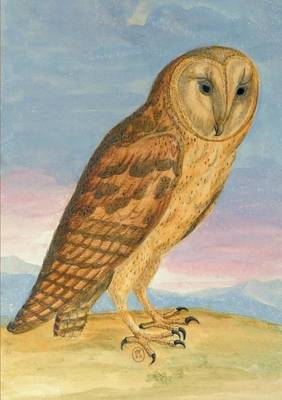 Carnet Lign�, Chouette Hulotte - Bnf Animaux (Paperback)