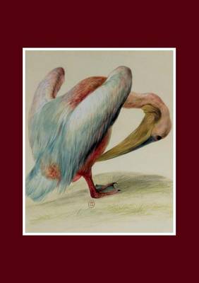 Carnet Lign�, P�lican - Bnf Animaux (Paperback)