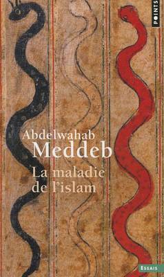 La Maladie De L'Islam (Paperback)