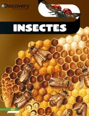 Discovery Education: Insectes (Paperback)