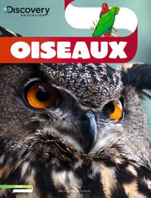 Discovery Education: Oiseaux (Paperback)