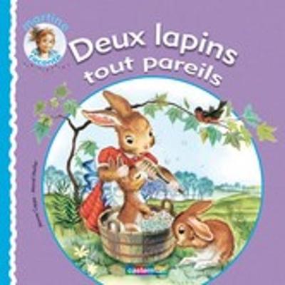 Deux Lapins Tout Pareils (Hardback)