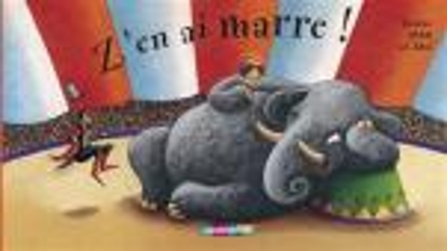 Z'En AI Marre! (Hardback)