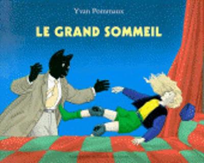 Le grand sommeil (Paperback)