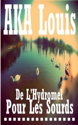 De L'Hydromel pour les Sourds: Traite inabouti, dilettante et poetique sur le sens de la realite (Paperback)