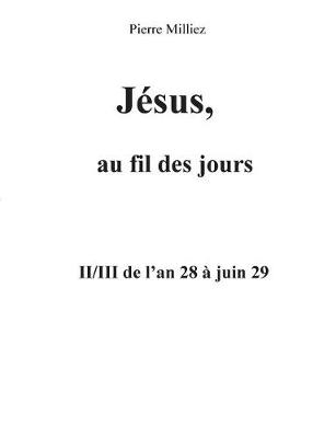 Jesus, au fil des jours, II/III de l'an 28 a juin 29 (Paperback)