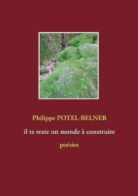 Il Te Reste Un Monde Construire (Paperback)