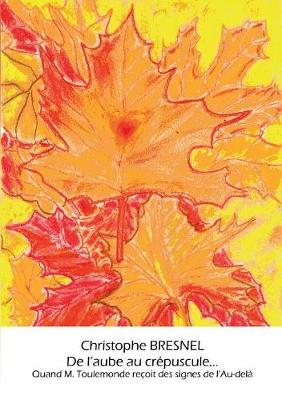 de l'Aube Au Cr puscule... (Paperback)