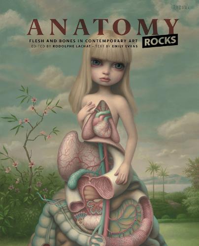 Anatomy Rocks (Hardback)