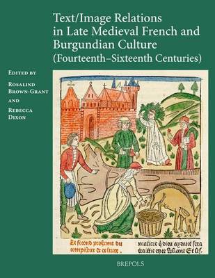 Text/image Relations in Late Medieval French and Burgundian Culture (Fourteenth-Sixteenth Centuries) (Hardback)
