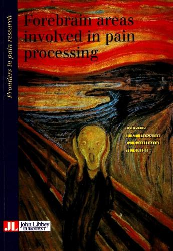 Forebrain Areas Involved in Pain Processing - Frontiers in Pain Research S. (Paperback)
