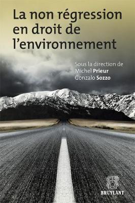 Non Regression En Droit De L'Environnement (Paperback)