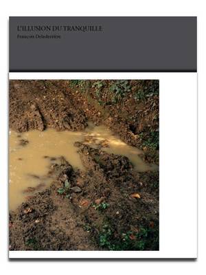 L'Illusion Du Tranquile (Paperback)