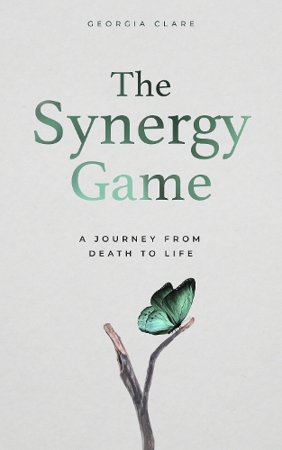 The Synergy Game: A Journey From Death to Life (Paperback)