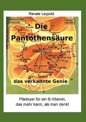 Die Pantothens Ure - Das Verkannte Genie (Paperback)