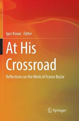 At His Crossroad: Reflections on the Work of France Bucar (Paperback)