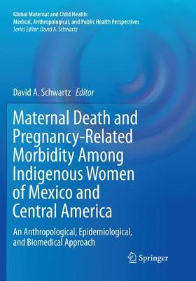 Maternal Death and Pregnancy-Related Morbidity Among Indigenous Women of Mexico and Central America: An Anthropological, Epidemiological, and Biomedical Approach - Global Maternal and Child Health (Paperback)