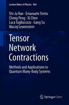 Tensor Network Contractions: Methods and Applications to Quantum Many-Body Systems - Lecture Notes in Physics 964 (Paperback)