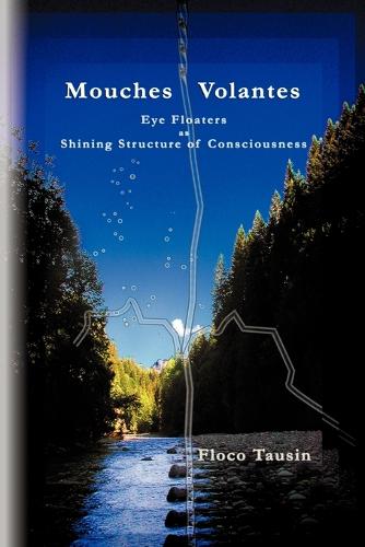 Mouches Volantes - Eye Floaters as Shining Structure of Consciousness (Paperback)
