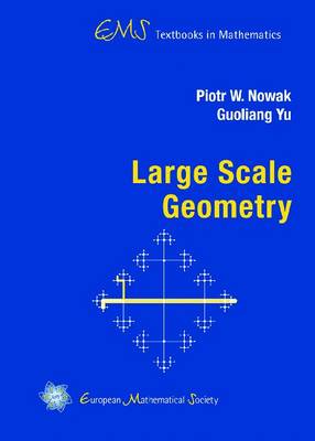 Large Scale Geometry - EMS Textbooks in Mathematics (Hardback)