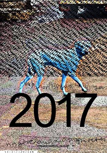 Katja Novitskova: Ringier 2017 (Paperback)