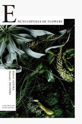 Encyclopedia of Flowers: Flower Works by Makoto Azuma Photographed by Shunsuke Shiinoki (Paperback)