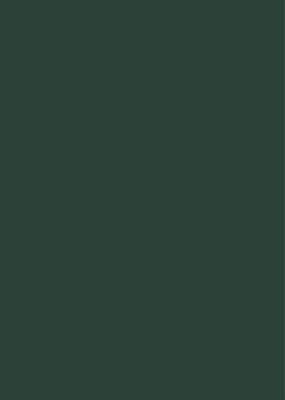Galeni de Symptomatum Differentiis - Corpus Medicorum Graecorum 5/5,1 (Hardback)