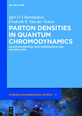 Parton Densities in Quantum Chromodynamics: Gauge Invariance, Path-Dependence and Wilson Lines - De Gruyter Studies in Mathematical Physics 37 (Hardback)