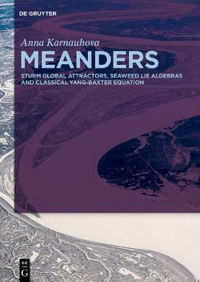 Meanders: Sturm Global Attractors, Seaweed Lie Algebras and Classical Yang-Baxter Equation (Hardback)