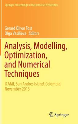 Analysis, Modelling, Optimization, and Numerical Techniques: ICAMI, San Andres Island, Colombia, November 2013 - Springer Proceedings in Mathematics & Statistics 121 (Hardback)