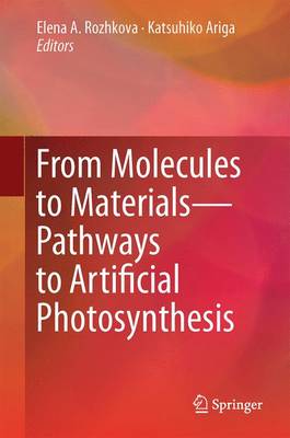 From Molecules to Materials: Pathways to Artificial Photosynthesis (Hardback)