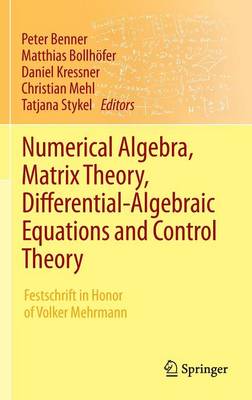 Numerical Algebra, Matrix Theory, Differential-Algebraic Equations and Control Theory: Festschrift in Honor of Volker Mehrmann (Hardback)