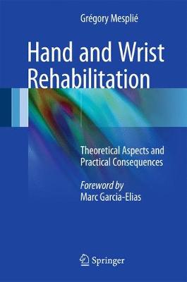 Hand and Wrist Rehabilitation: Theoretical Aspects and Practical Consequences (Hardback)