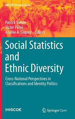 Social Statistics and Ethnic Diversity: Cross-National Perspectives in Classifications and Identity Politics - IMISCOE Research Series (Hardback)